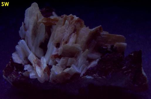 fluorescent CERUSSITE - Superfund site - Bunker Hill Mine (Tyler; Stemwinder; Bunker Hill and Sullivan; Bunker Chance Mine), Bunker Hill properties, Kellogg, Coeur d'Alene District, Shoshone County, Idaho, USA