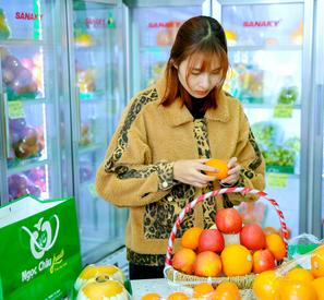 Giỏ trái cây nhập khẩu gồm những gì?