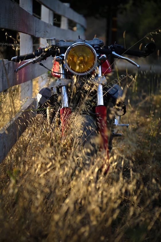 moto guzzi motorcyle nature lovers forest landscape