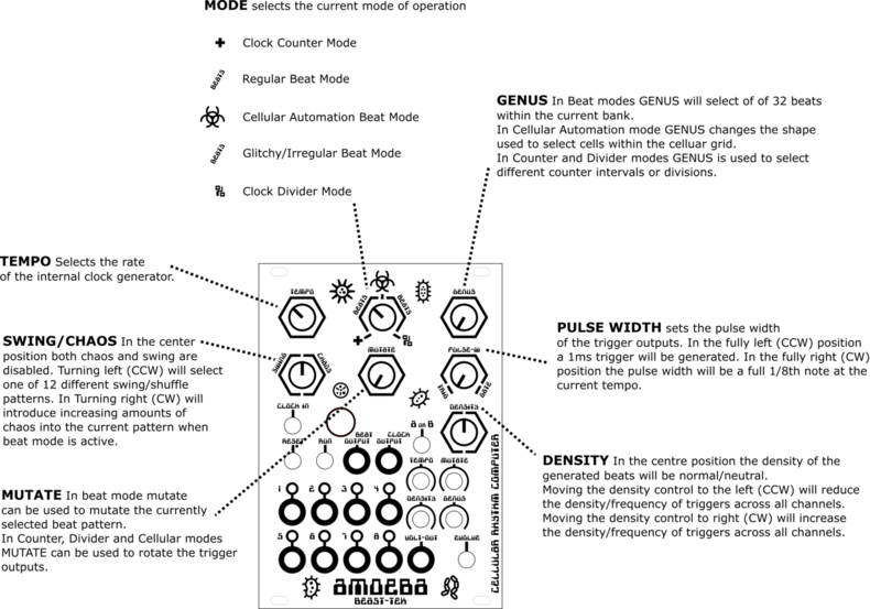Amoeba Amoeba