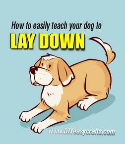 How to teach your puppy to lay down