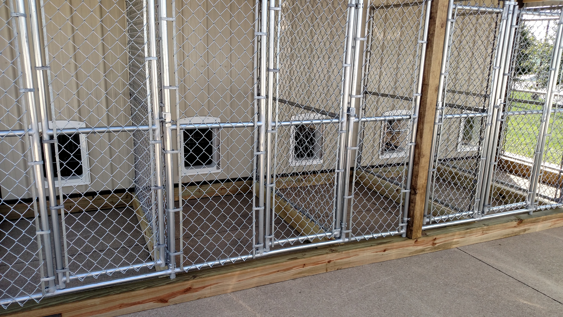 Dog kennel hot sale feeders