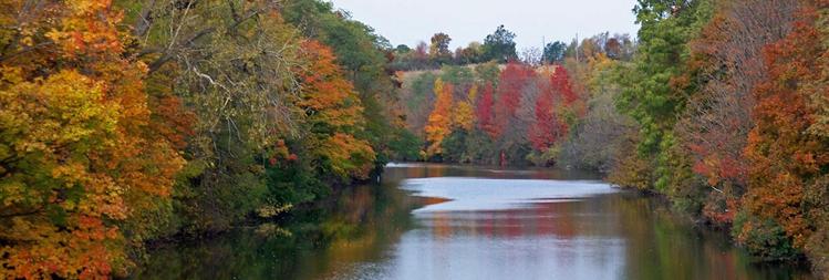 Erie Canal and Nature Trips