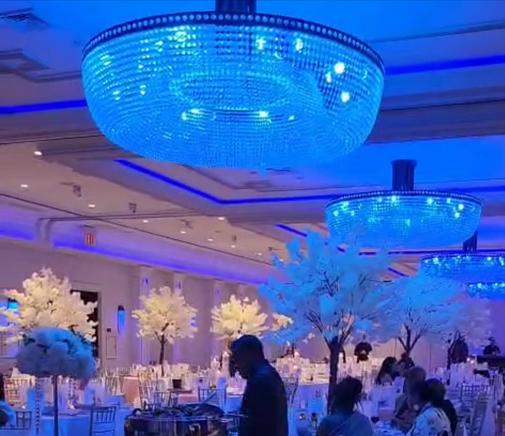 cherry blossom trees for rent