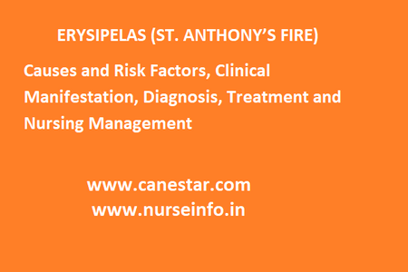 ERYSIPELAS (ST. ANTHONY’S FIRE) – Causes and Risk Factors, Clinical Manifestation, Diagnosis, Treatment and Nursing Management