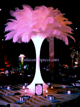 Feather wall backdrop “Rose” - RentalCenterpiece