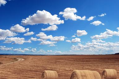Landscape of hayfield with bales of hay