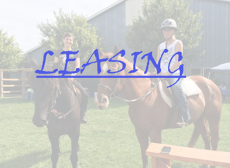 Click to go to our training page!