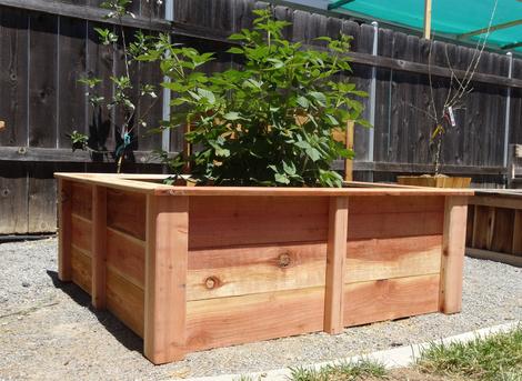 Wood Stain For Raised Beds
