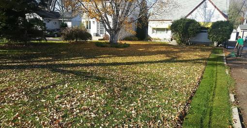 PROPERTY CLEANUP SERVICES
