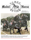 VCMEC Vol. 9 No. 2 PDF