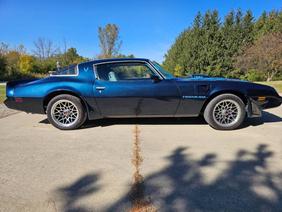 1979 Pontiac Firebird Trans Am For Sale by Mad Muscle Garage Classic Cars