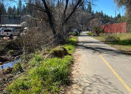 Randolph Creek Project Native Plant Garden Designed and Cared for by Jennifer Tucker. Community Pride Volunteer. Placerville, California. Photo by Josette Johnson