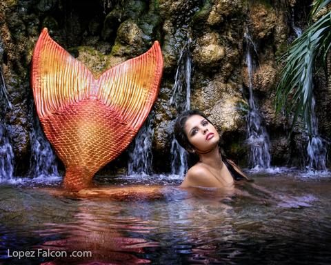 Mermaids Quince miami photography