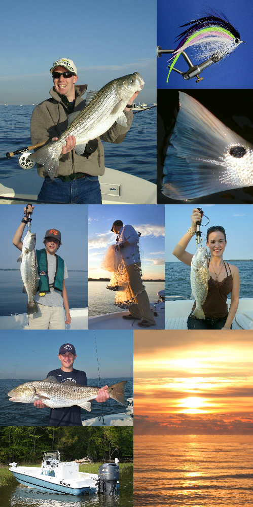 Florida Fly Fishing - Salt Water Fly Guide