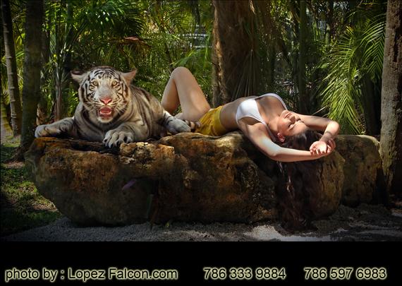 Quinceanera with Tiger at Secret gardens Quinces with tigers photo shoot