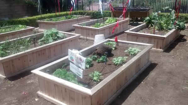 Elevated Cedar Planter Box, 2' x 8