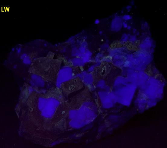 fluorescent FLUORITE, GALENA, QUARTZ, ANGLESITE - Desert Rose Mine (Downey Stope; Mountain Canyon Mine; Ace High Mine), Garden Spring Canyon, Bingham, Hansonburg District, Socorro County, New Mexico, USA