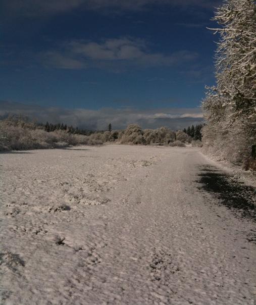 Snow covered road