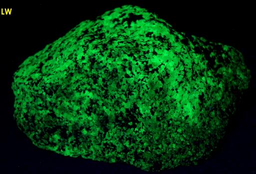 fluorescent WILLEMITE with FRANKLINITE - Franklin Mine, Franklin, Franklin Mining District, Sussex County, New Jersey, USA