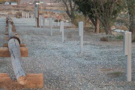 Photo of camping spaces at Mason Valley Trap Range