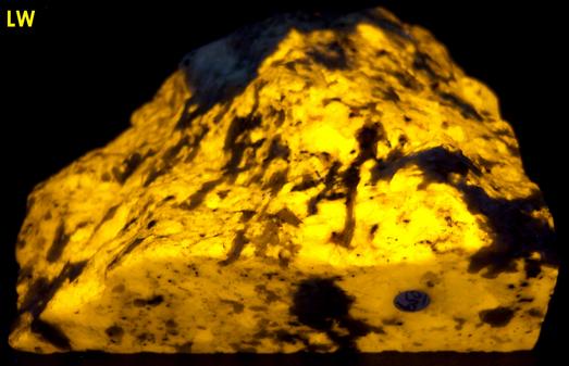 fluorescent SCAPOLITE WERNERITE, Marialite-Meionite, TREMOLITE, PYRITE - Grenville Scapolite Prospect, Grenville-sur-la-Rouge, Argenteuil RCM, Laurentides, Québec, Canada - ex Grace and Kennard Borden, ex Morris Museum