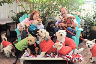 Steve and Christine Haslet. Lucky Pup Dog Rescue