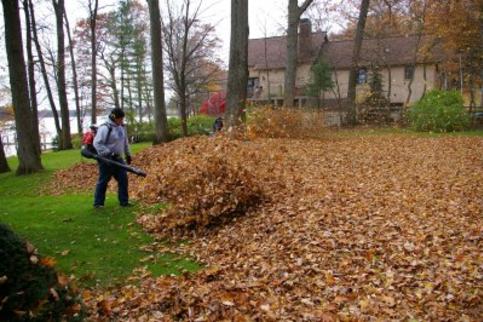 FAST LEAF REMOVAL SERVICES LAS VEGAS NV