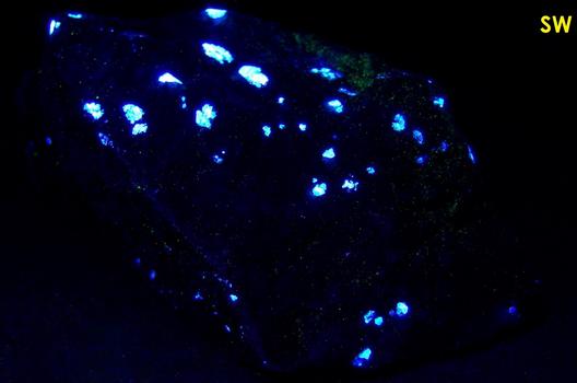 fluorescent SCHEELITE, QUARTZ, CLINOZOISITE - Trumbull (Old Mine Park), Fairfield County, Connecticut, USA