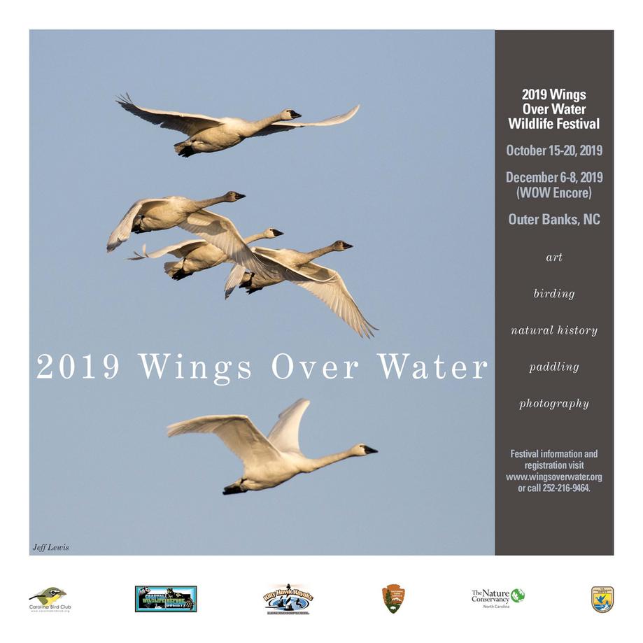 Wings Over Water Wildlife Festival Wildlife Tours, Nature Education