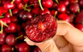 Bán hoa quả nhập khẩu Phúc Yên