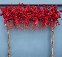 red & burgundy flower runned backdrop