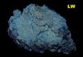 Fluorescent DEWEYLITE - Delight Quarry, Soldiers' Delight ridge, Delight, Baltimore Co., Maryland, USA - for sale