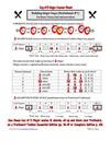 D Major Key Worksheet