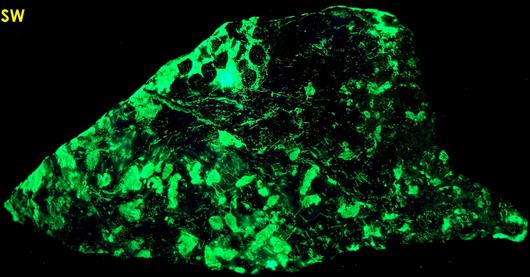 phosphorescent fluorescent WILLEMITE, ZINCITE, FRANKLINITE, CALCITE,Sterling Mine, Sterling Hill, Ogdensburg, Franklin Mining District, Sussex County, New Jersey, USA