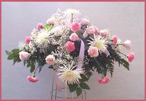 Casket Cover of Spider Mums, Carnations & Roses