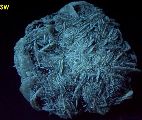 fluorescent phosphorescent GYPSUM SELENITE, Red River floodway, Winnipeg, Manitoba, Canada
