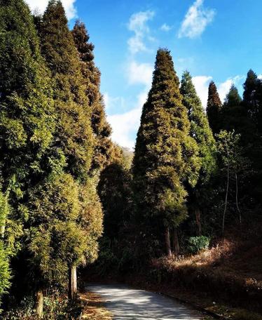 Top Offbeat Places Near Darjeeling