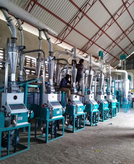Running 50T/24h maize flour milling plant in Tanzania