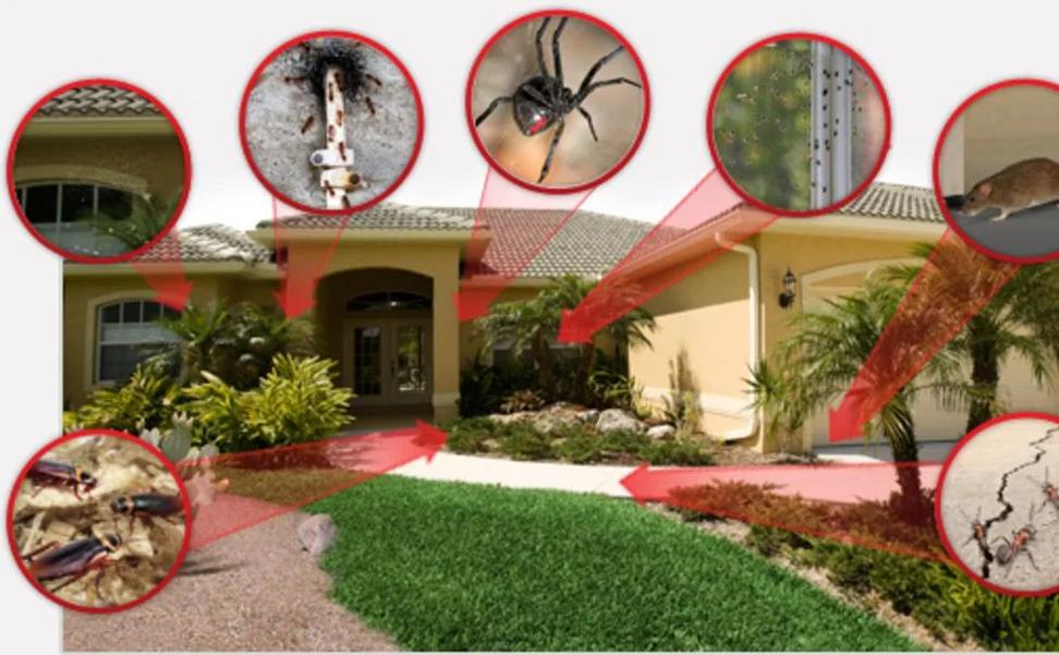 Pest Control Pro Pest Control Jupiter, FL Pest Control