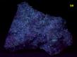 CELESTINE celestite, CALCITE - Rt 13 roadcut, Chittenango Falls, Fenner Township, Madison County, New York, USA - ex Sterling Hill Mining Co., Owned & Operated by The Hauck Families - for sale