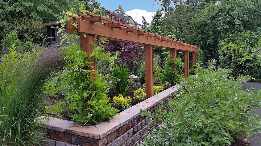 Mercer Island Backyard Landscaping