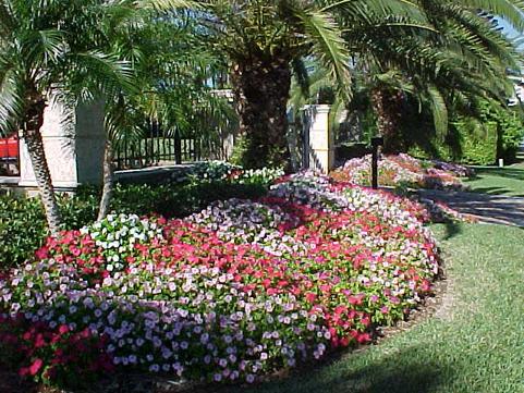 LAWN MAINTENANCE AND CARE IN LAS VEGAS NV