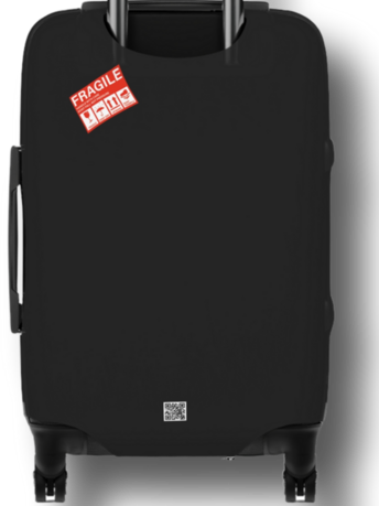 "NOTHING TO DECLARE" Carry On Suitcase Protector. Check Design