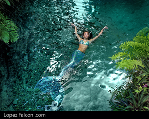 mermaid miami photography video photo shoot