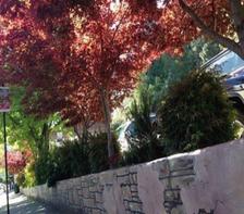 Mooney Lot Garden Designed and Cared for by Debra Power, Community Pride Volunteer. Placerville, California. Photo by Josette Johnson