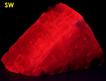 fluorecent purple-violet Mn-CALCITE - Medford Quarry (Redland Genstar Quarry), Medford, Carroll County, Maryland, USA - ex Tom McNelis