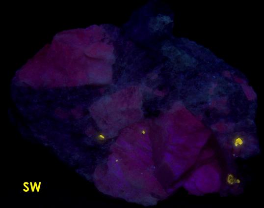 Beryl Aquamarine, Albite Oligoclase, Smoky Quartz, Muscovite, Fluorapatite, Garnet, fluorescent - Case Quarries, Portland, Middlesex County, Connecticut, USA