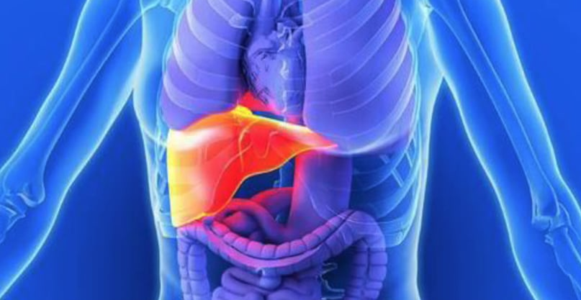 Liver Damage - Dr. Joel Wallach