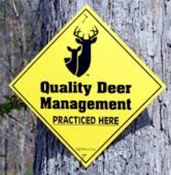 quality deer management